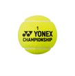 CHAMPIONSHIP TENNIS BALL